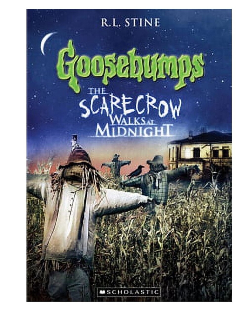 R.L. Stine Goosebumps: Scarecrow Walks At Midnight (DVD) Scholastic